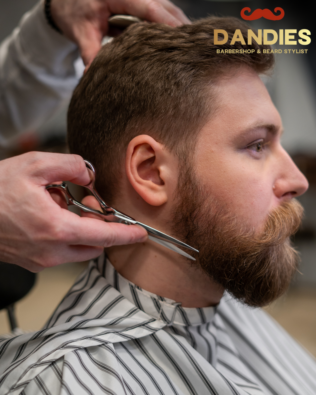 Beard Service and haircuts in Campbell CA